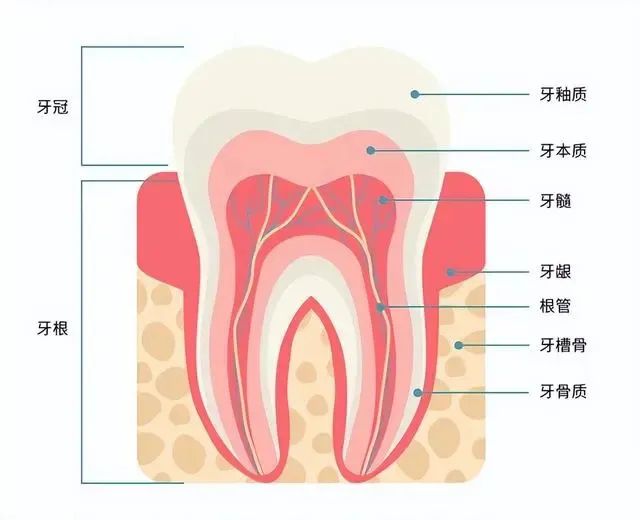 微信图片_20230319144541.jpg